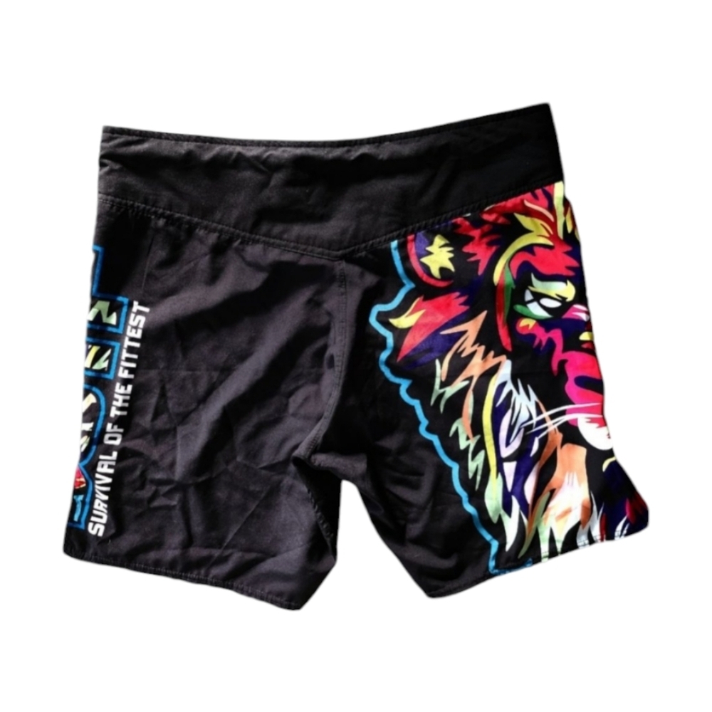 SOTF Men's Breathable Running Shorts MMA Boxing Fitness Sports Shorts, Medium - Picture 3 of 4